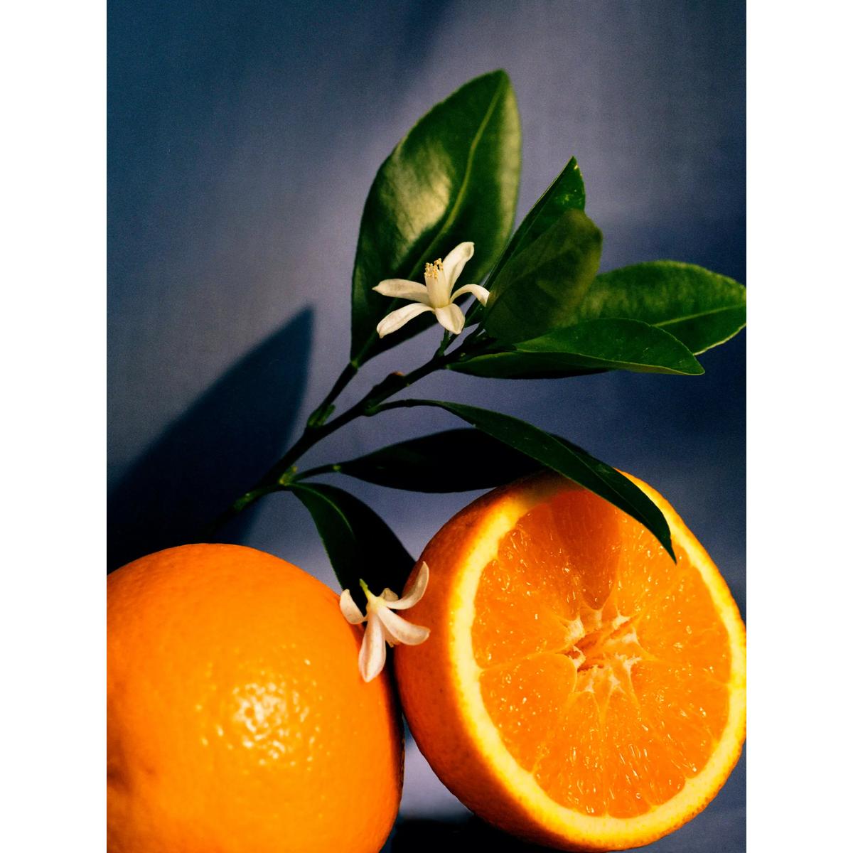 LOEWE Orange Blossom Medium Scented Candle, 610g – image 3