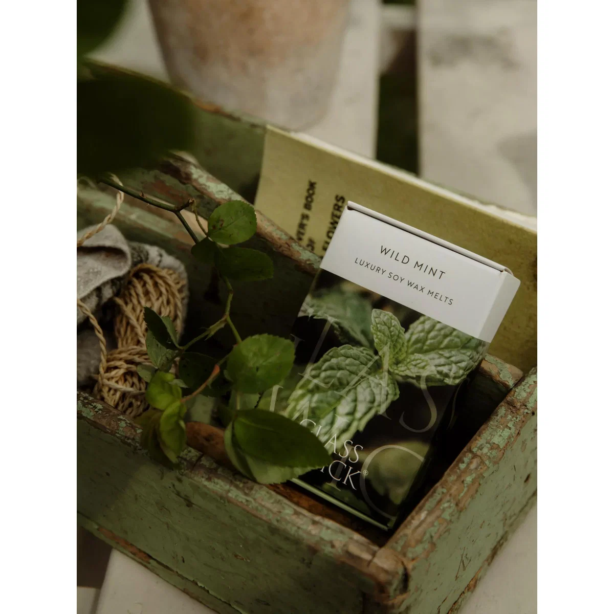 Glass & Wick Wild Mint Wax Melts, Pack of 6 – image 3