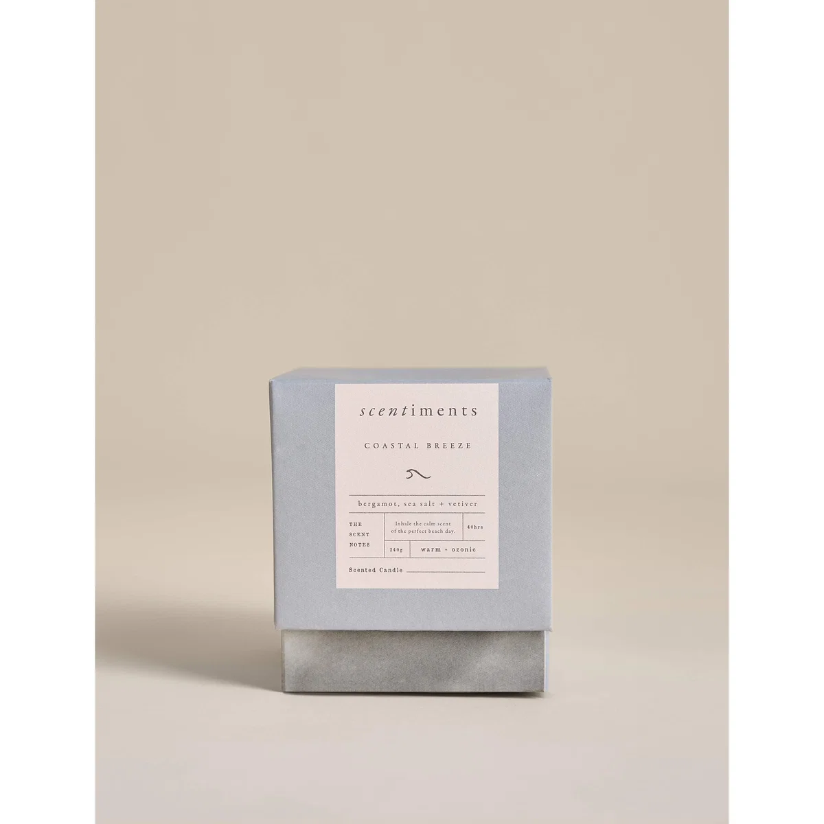 Scentiments™ Coastal Breeze Candle Soft Blue – image 3