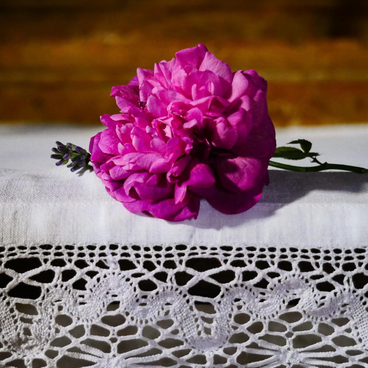 Black Rose Di San Lazzaro: Grand Candle | Biainili – image 3