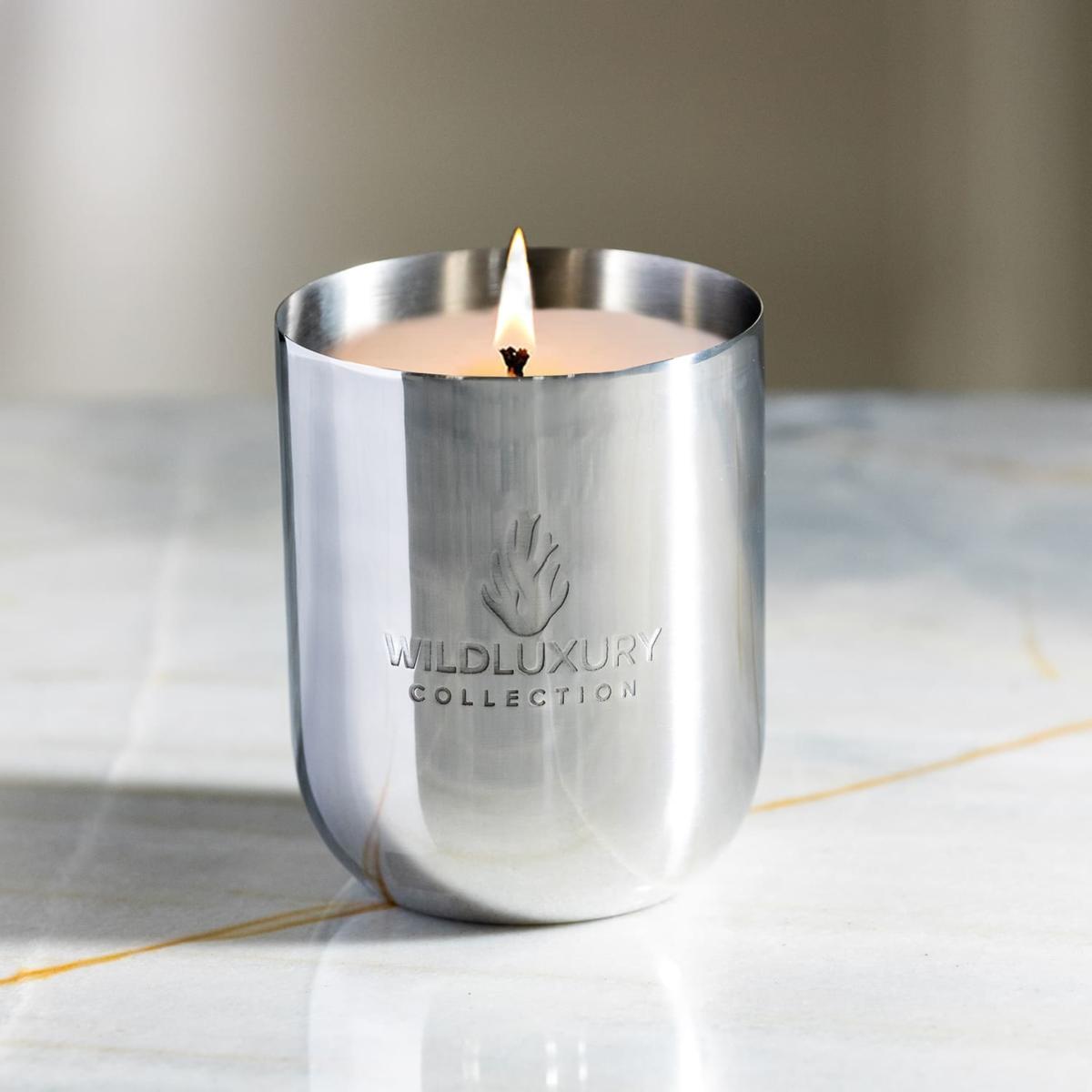 Silver Daintree Rain Forest Candle - 225G | Medium | Wild Luxury Collection – image 3