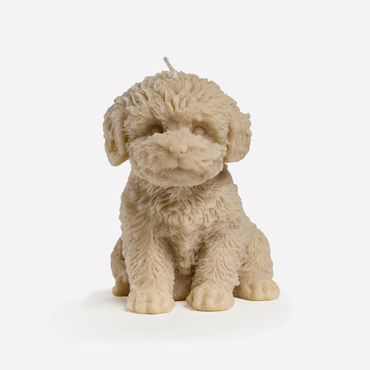 Cavoodle Candle - Black | One Size | Love Ally – image 6