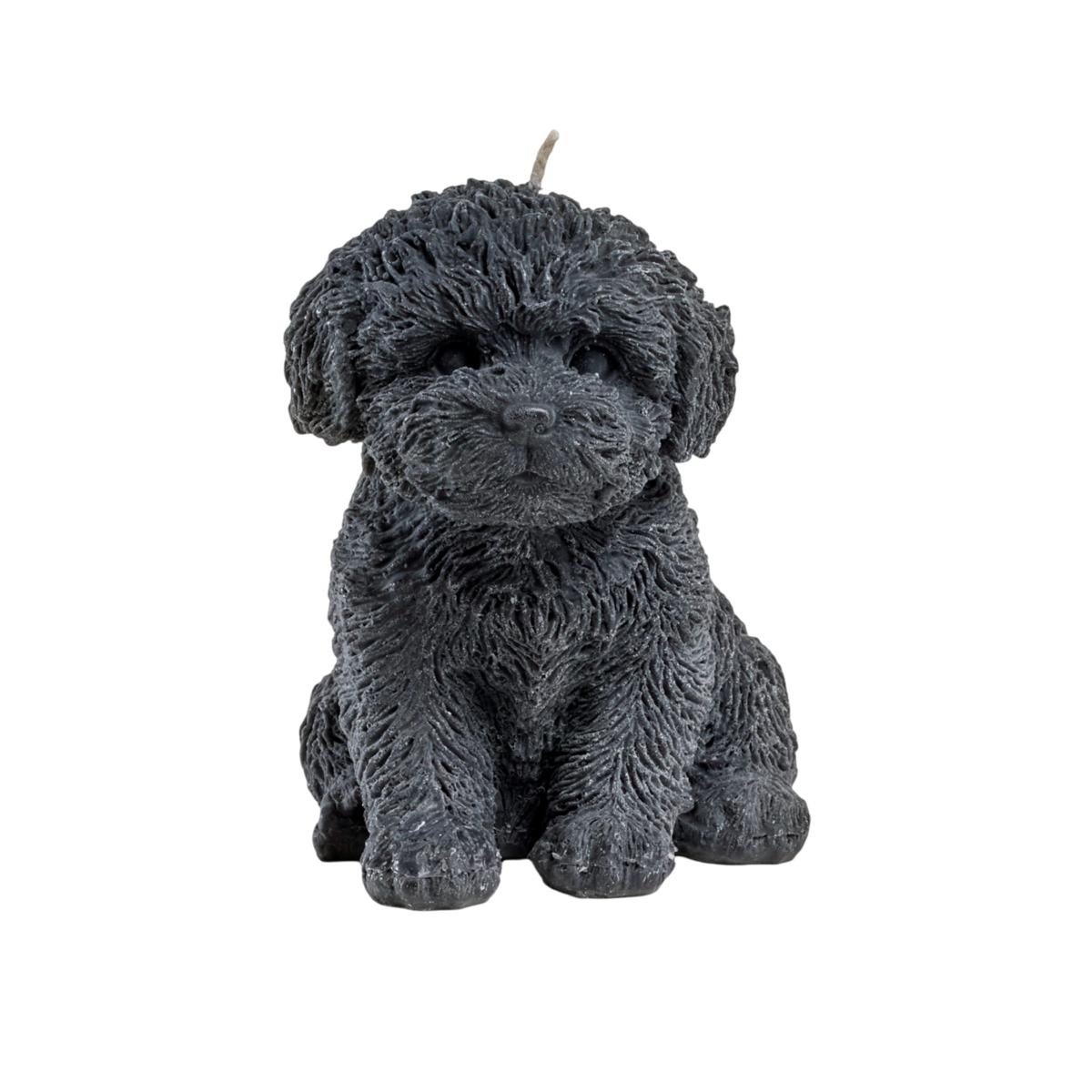 Cavoodle Candle - Black | One Size | Love Ally – image 1