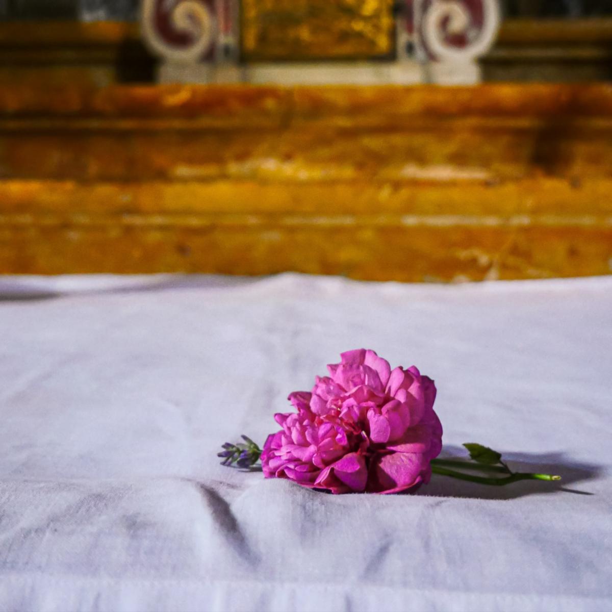Pink / Purple Rose Di San Lazzaro Mini Candle | One Size | Biainili – image 5