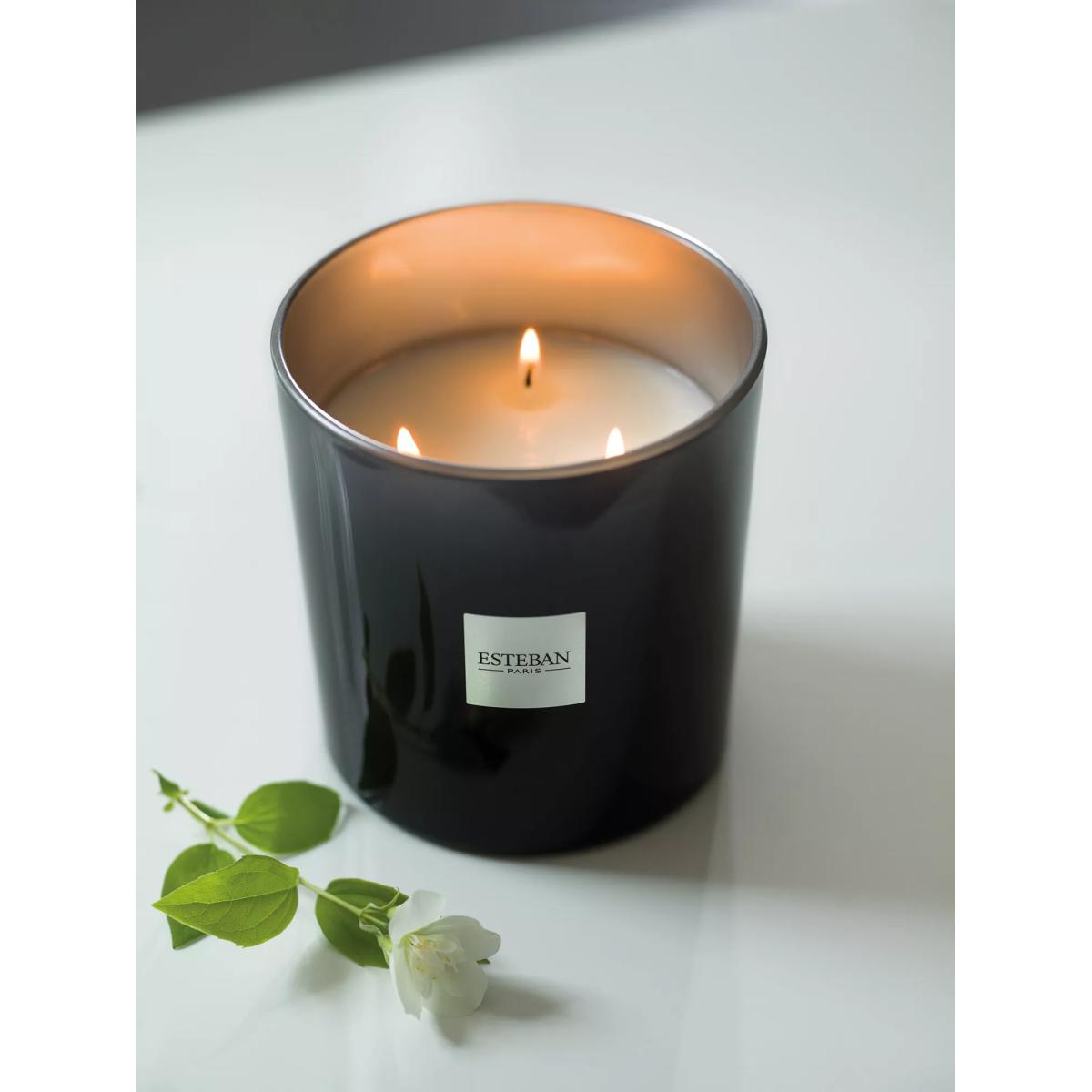 Esteban Cedre Scented Candle, 450g – image 2