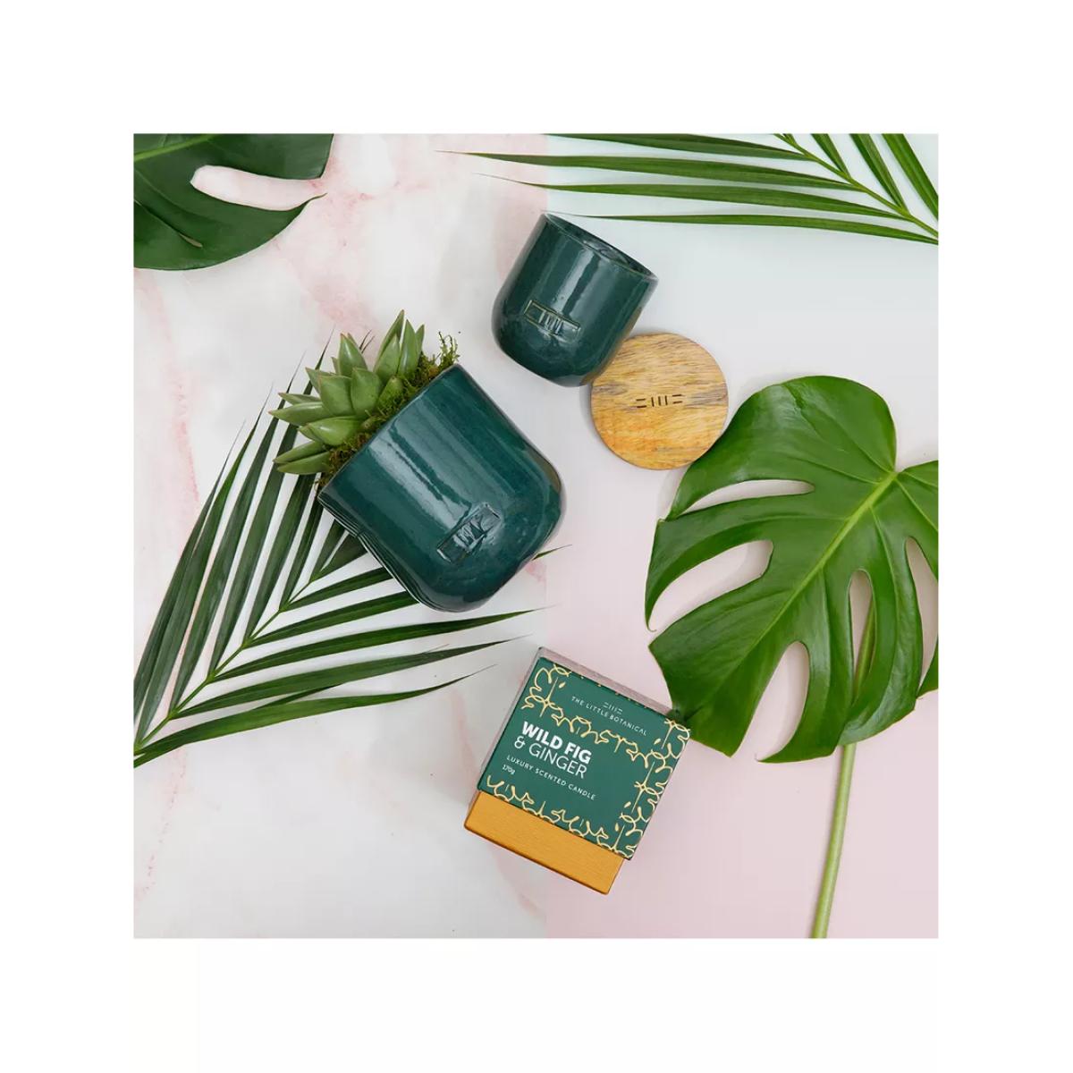 The Little Botanical Forever Green Candle Gift Set – image 2