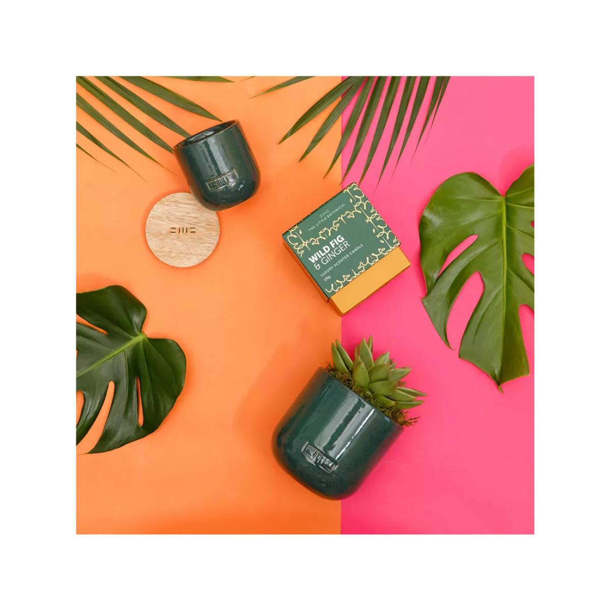 The Little Botanical Forever Green Candle Gift Set – image 3