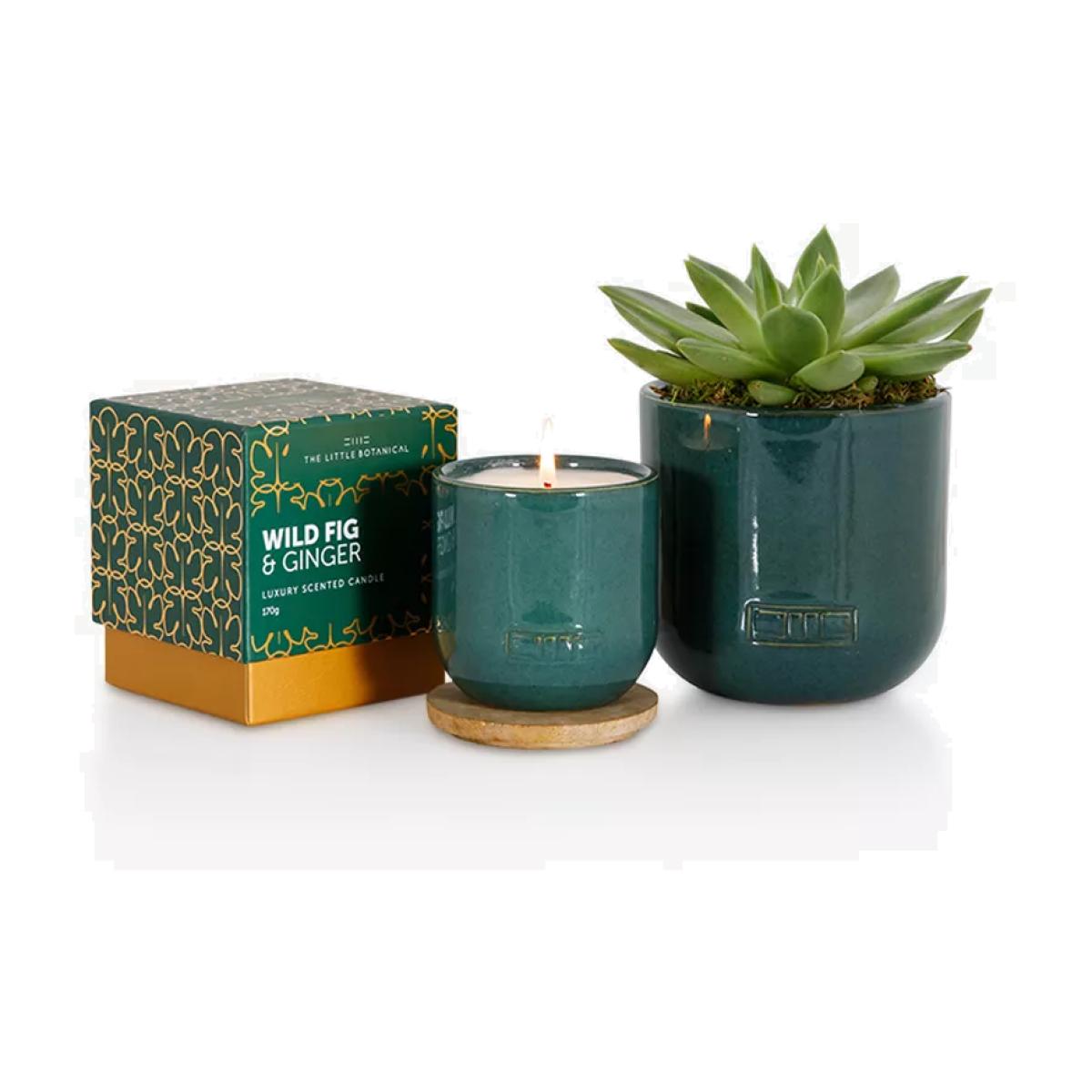 The Little Botanical Forever Green Candle Gift Set – image 1