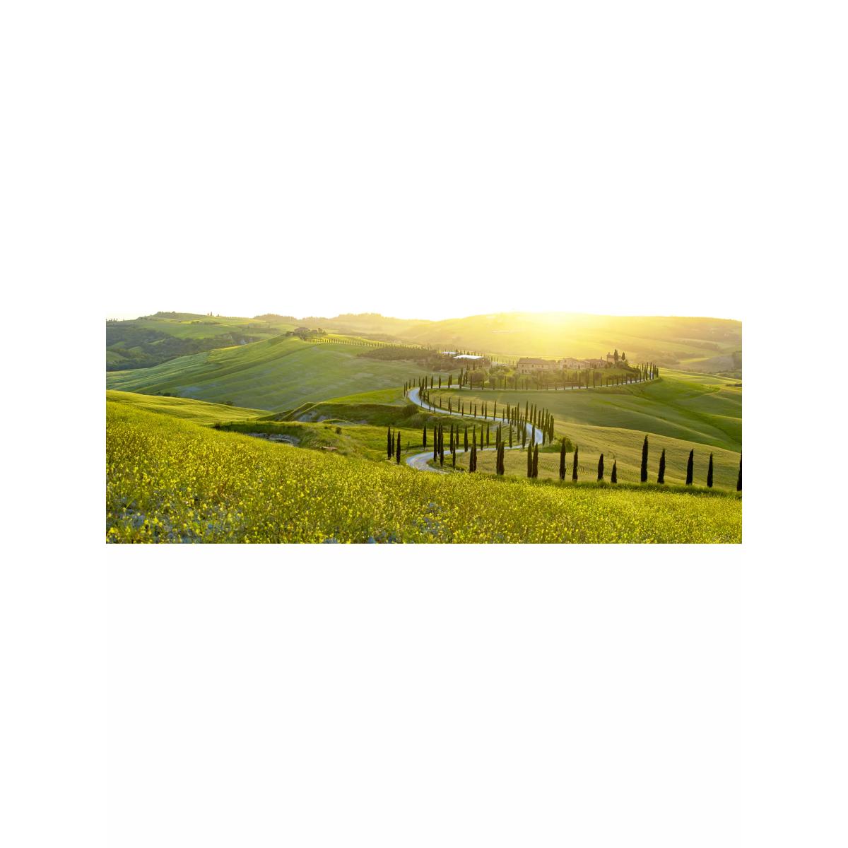 Acqua di Parma Buongiorno Limited Edition Scented Candle, 200g – image 4