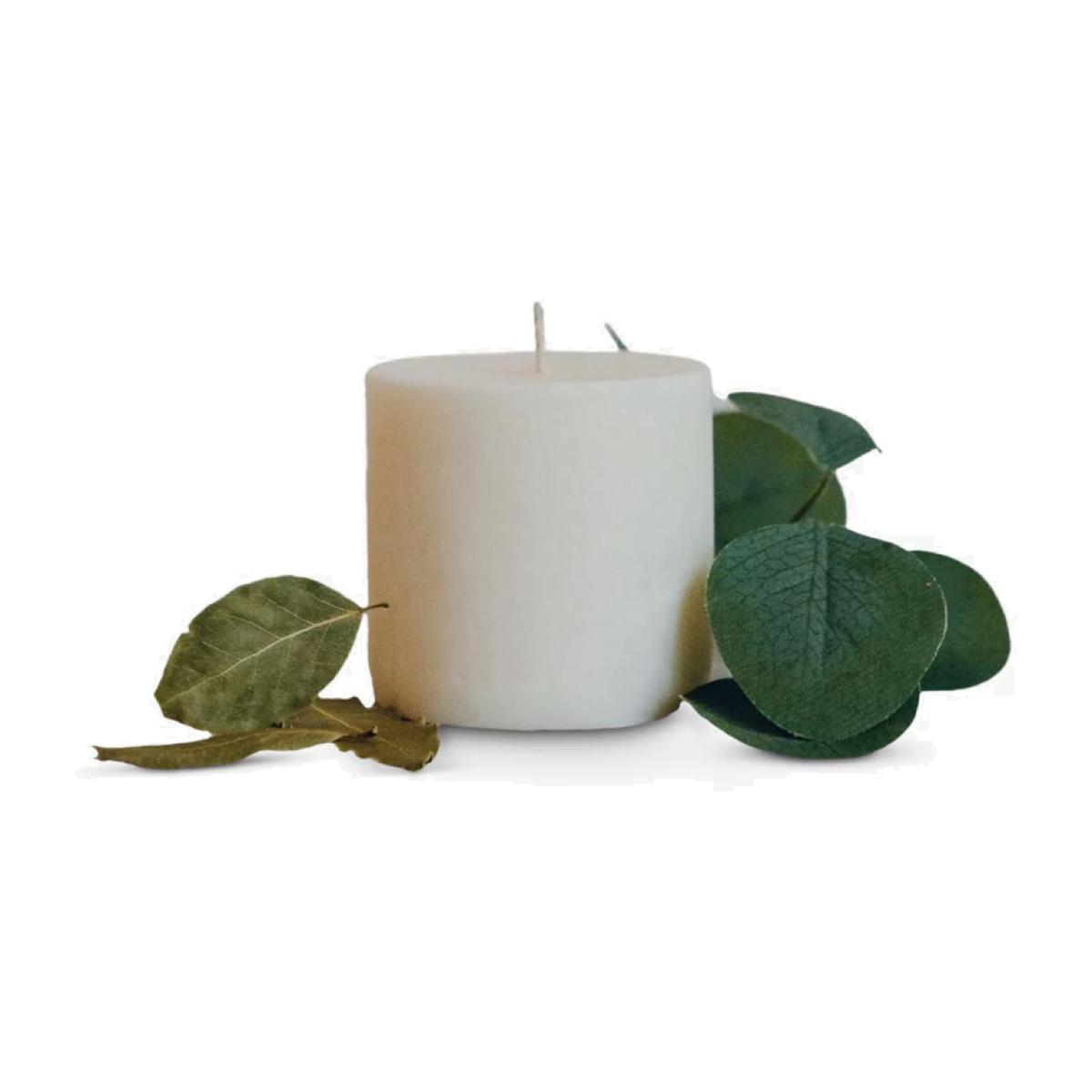 Pott Candles Eucalyptus Candle Refill, 290g – image 1