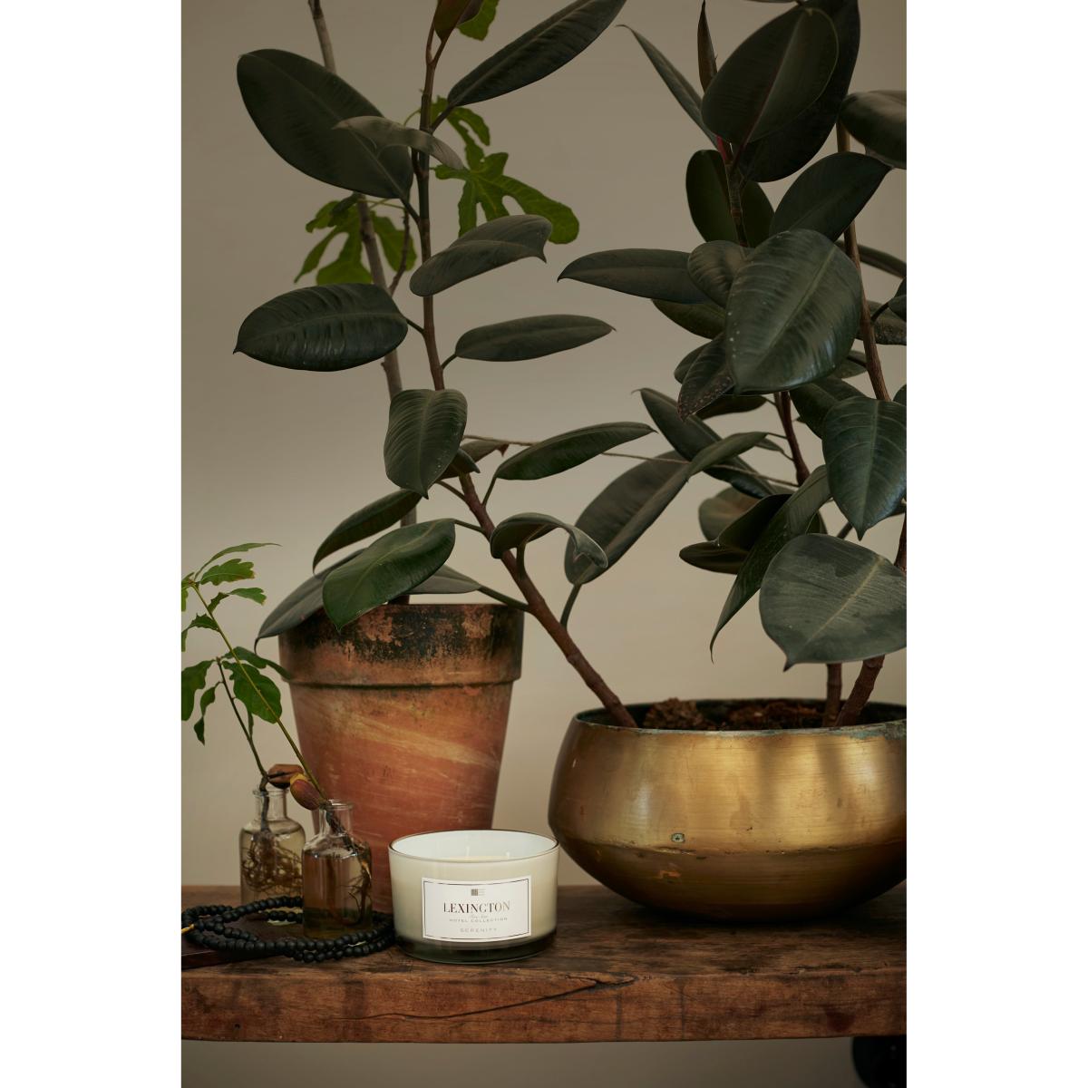 Hotel Serenity scented 3 wiks 30 hours – image 3