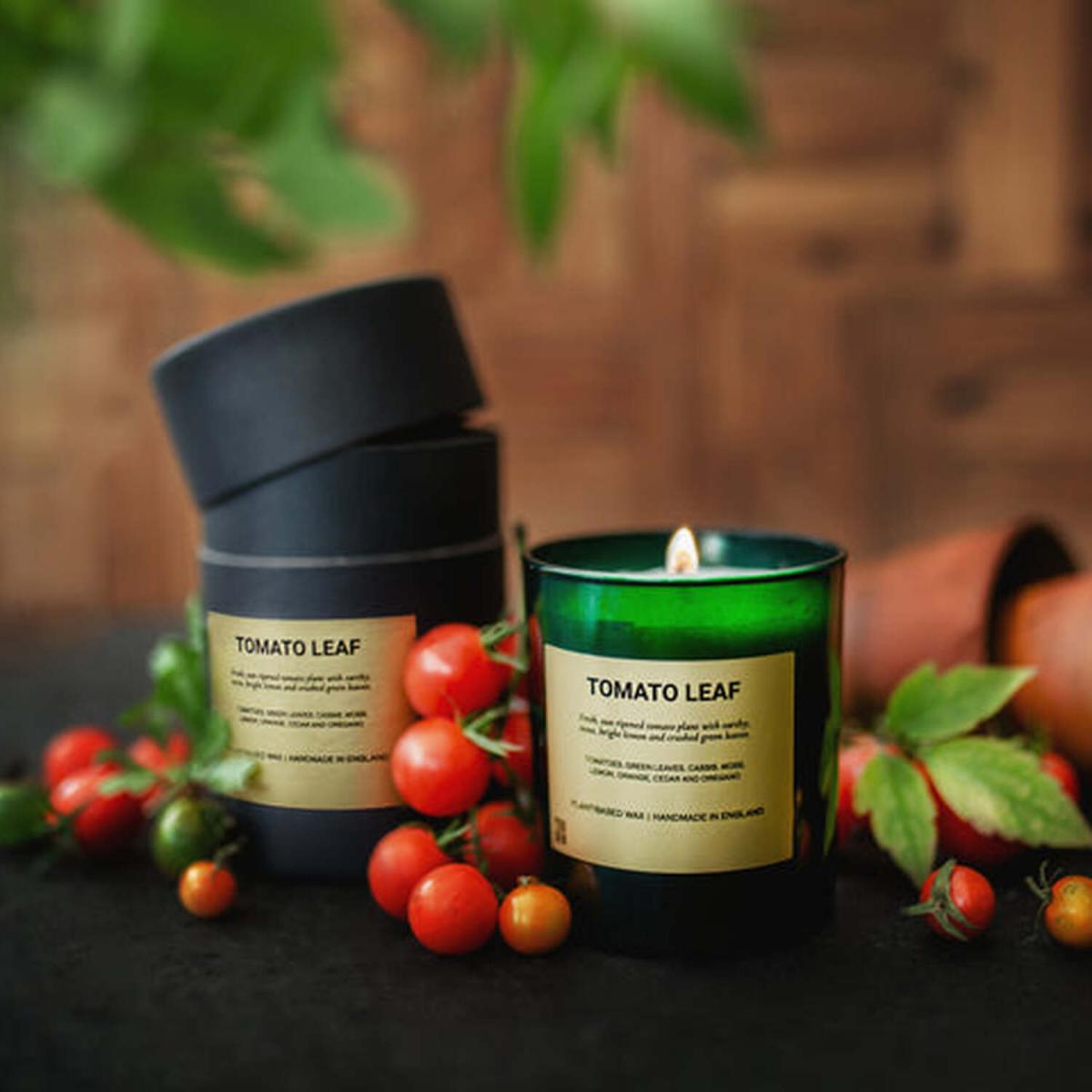 Tomato Leaf Candle - White – image 2