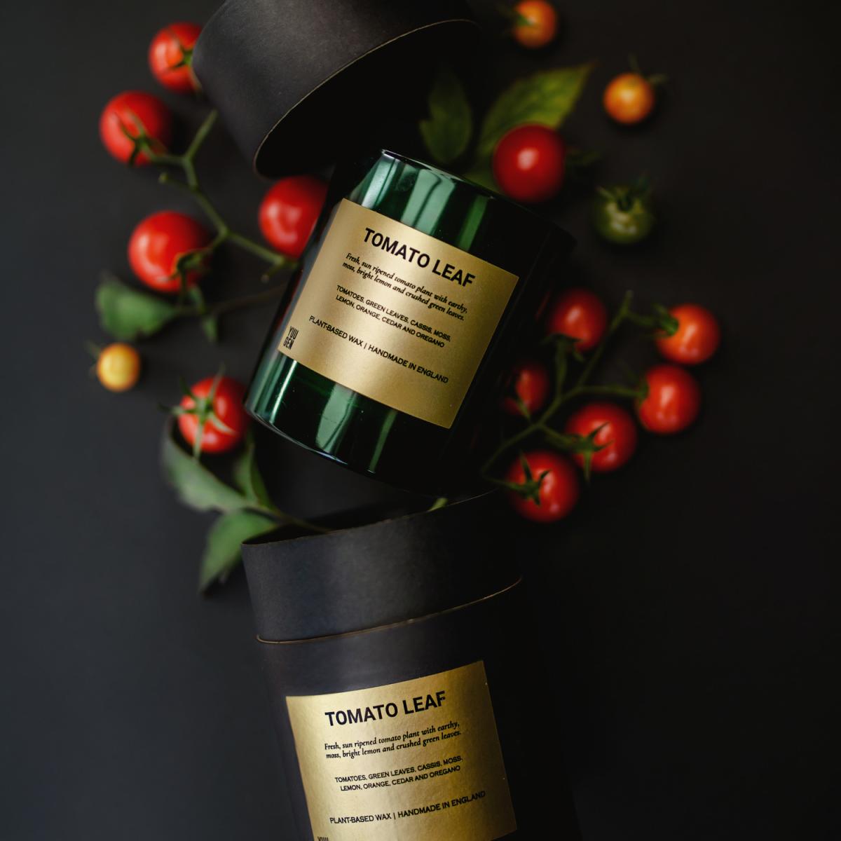 Tomato Leaf Candle - White – image 3