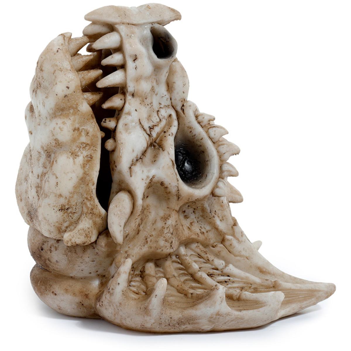 Shadows of Darkness Incense Burner Ashcatcher - Dragon Skull Head - Cream – image 8