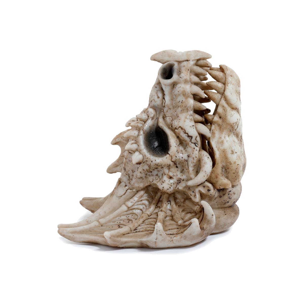 Shadows of Darkness Incense Burner Ashcatcher - Dragon Skull Head - Cream – image 1