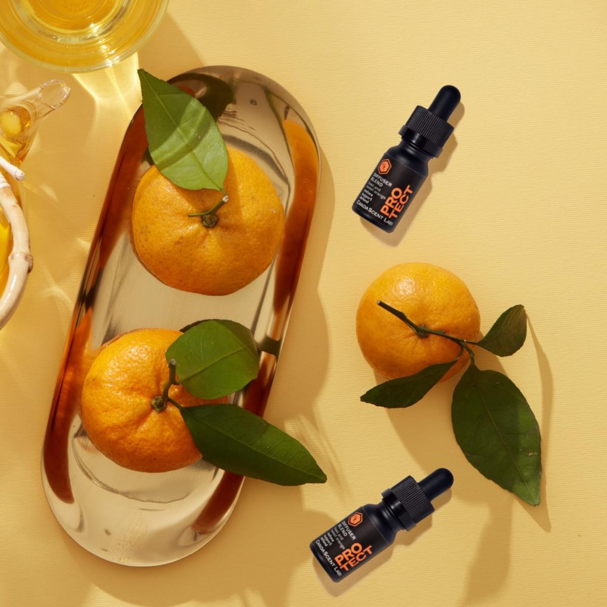 Protect - Basil & Sweet Orange Wellness Diffuser Blend One Size Candascent Labs – image 2