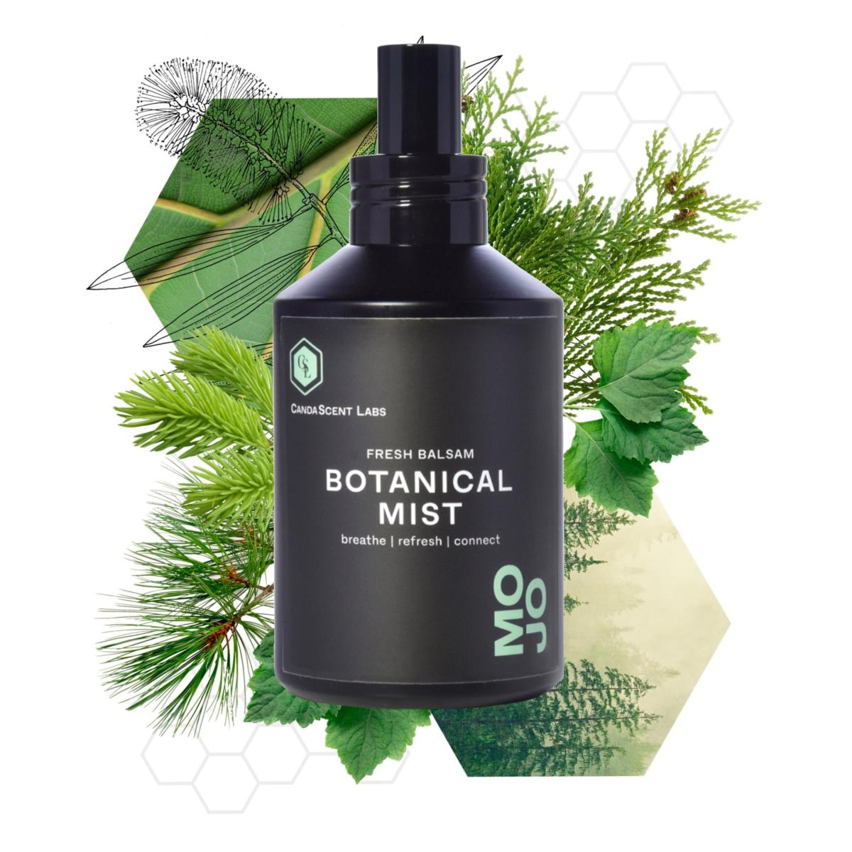 Mojo - Forest Bathing Wellness Botanical Mist One Size Candascent Labs – image 3