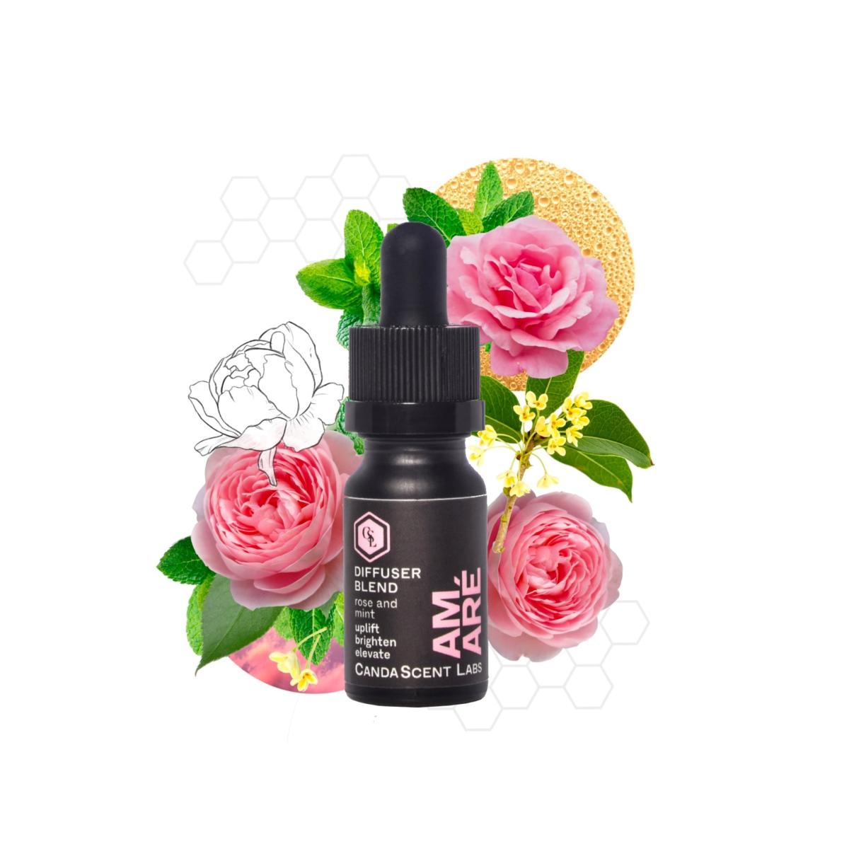Amaré - Rose & Mint - Wellness Diffuser Blend One Size Candascent Labs – image 2