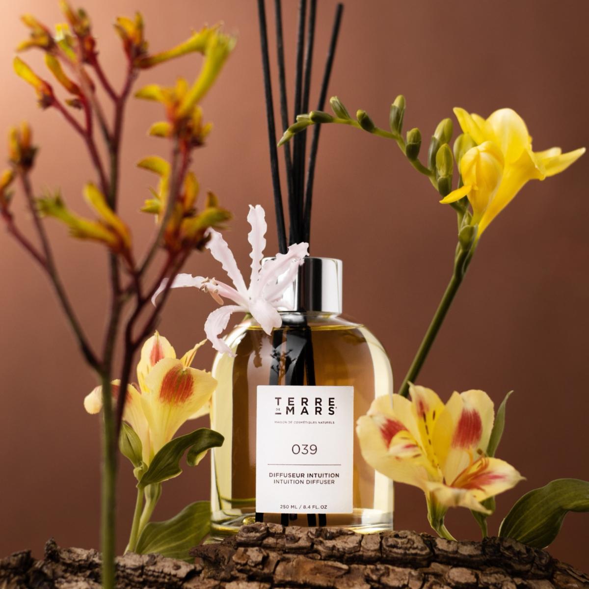 Intuition Reed Diffuser Terre De Mars – image 2