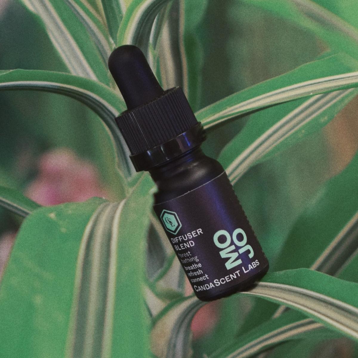 Mojo - Forest Bathing Wellness Diffuser Blend One Size Candascent Labs – image 2
