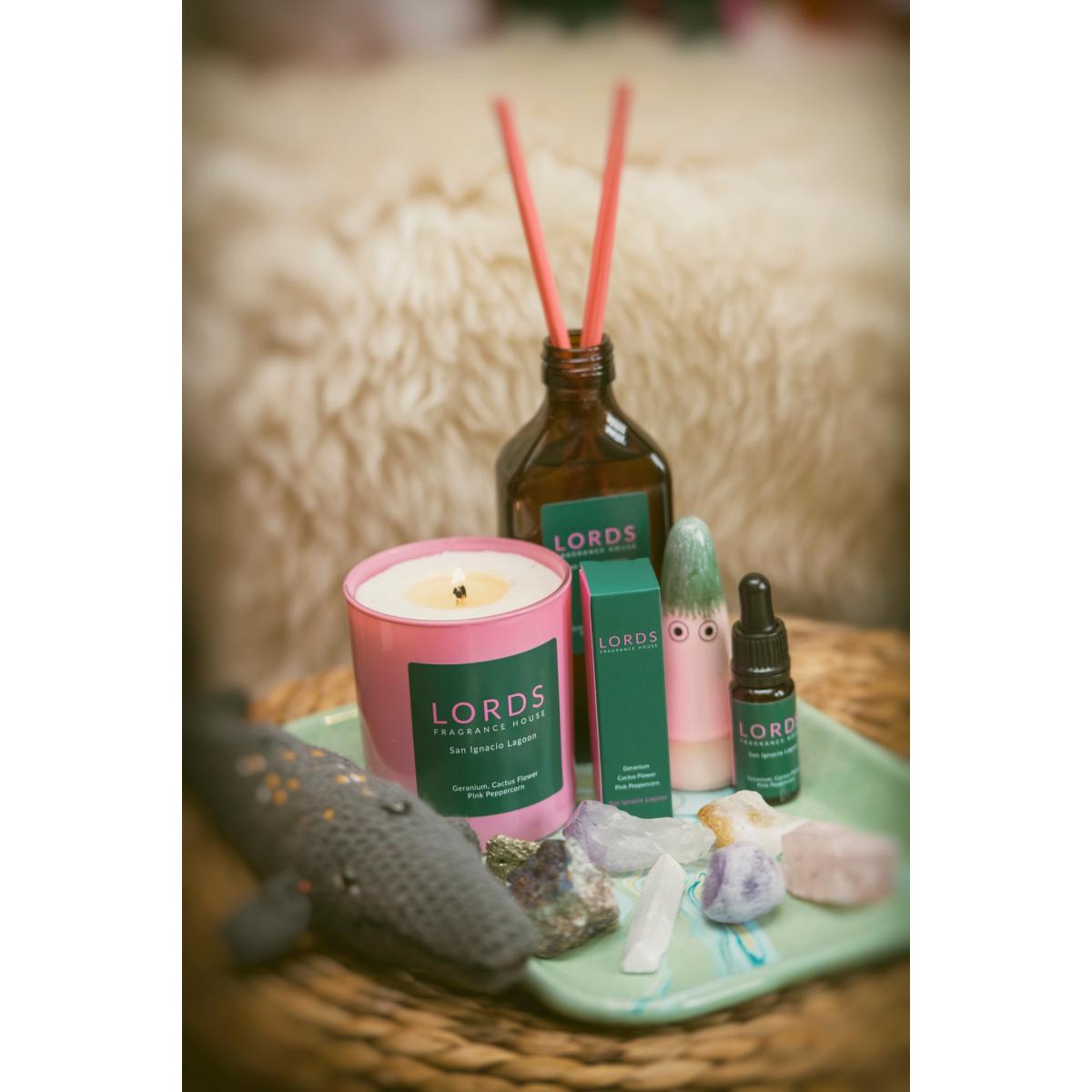 Green / Pink / Purple San Ignacio Lagoon Candle Lords Fragrance House – image 2