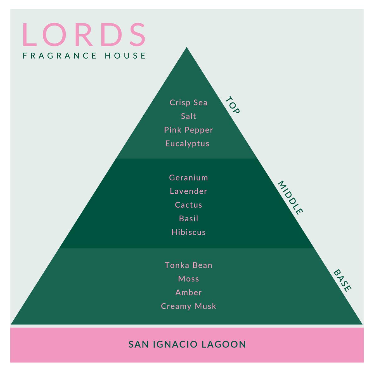 Green / Pink / Purple San Ignacio Lagoon Candle Lords Fragrance House – image 3