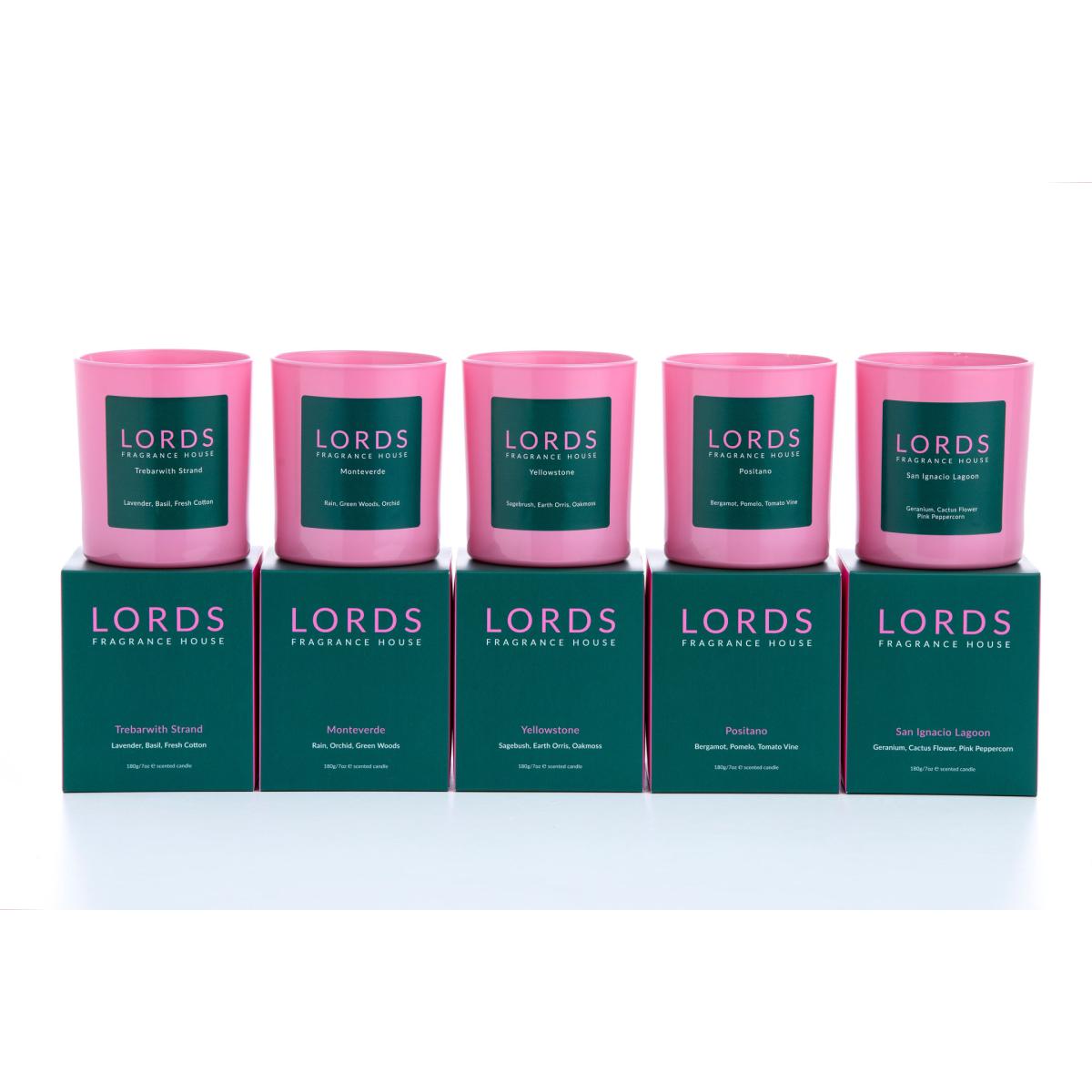 Green / Pink / Purple Positano Candle Lords Fragrance House – image 4