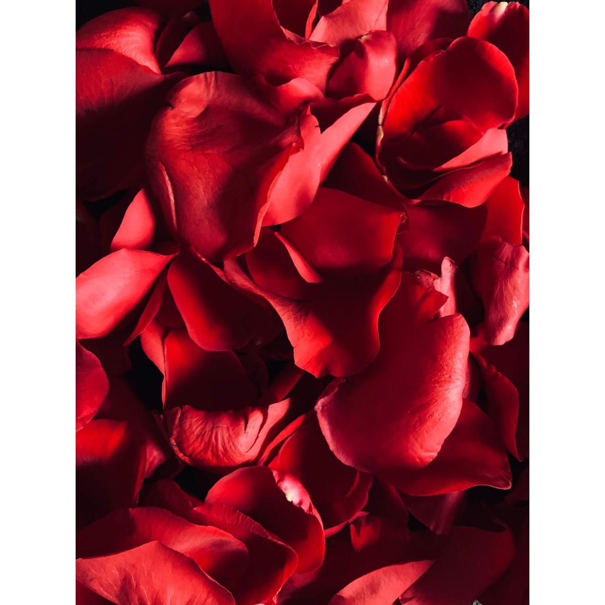 White I Deserve Love Je Mérite L'amour Candle S – image 3
