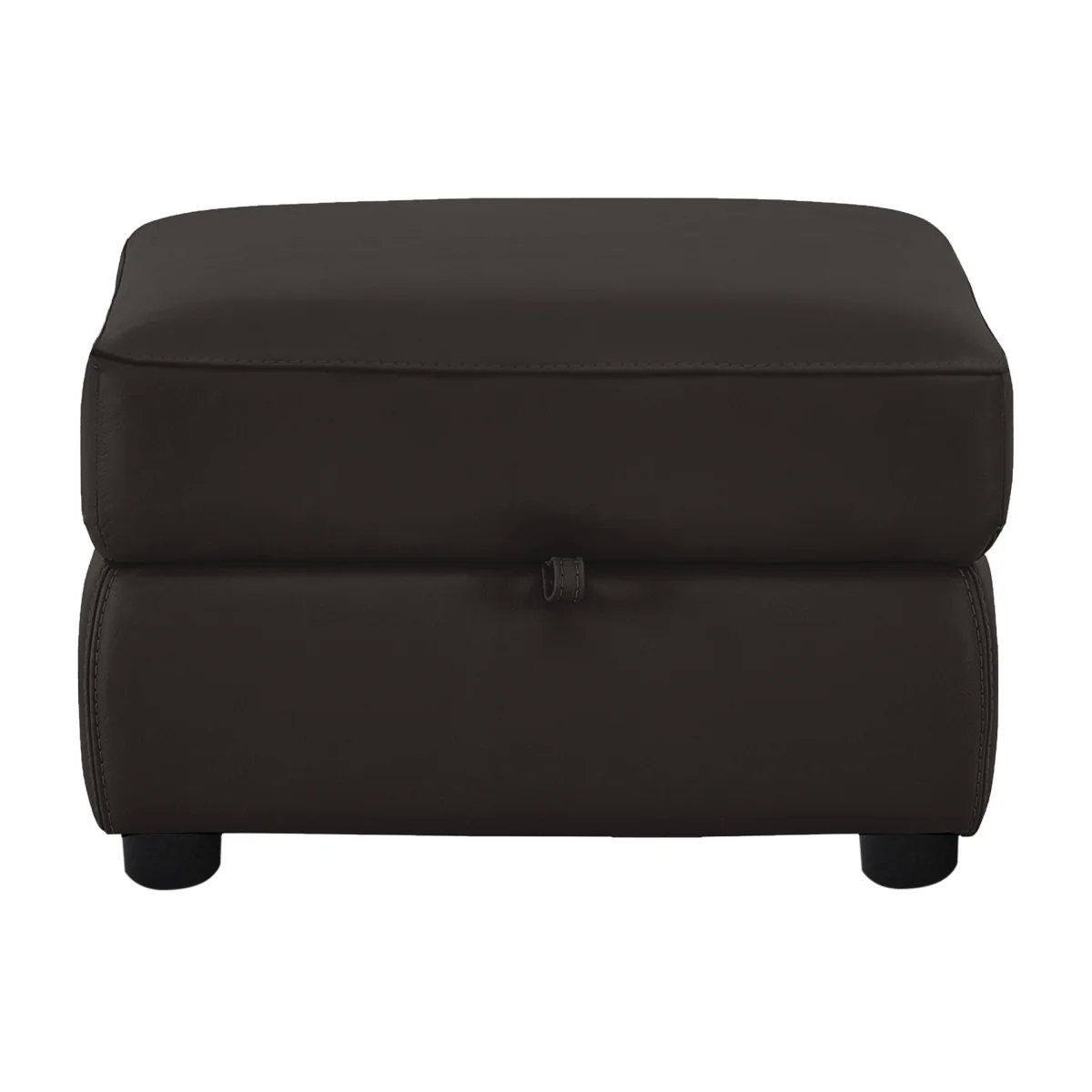 World of Leather - Echo BV Leather Storage Footstool - Dark Chocolate