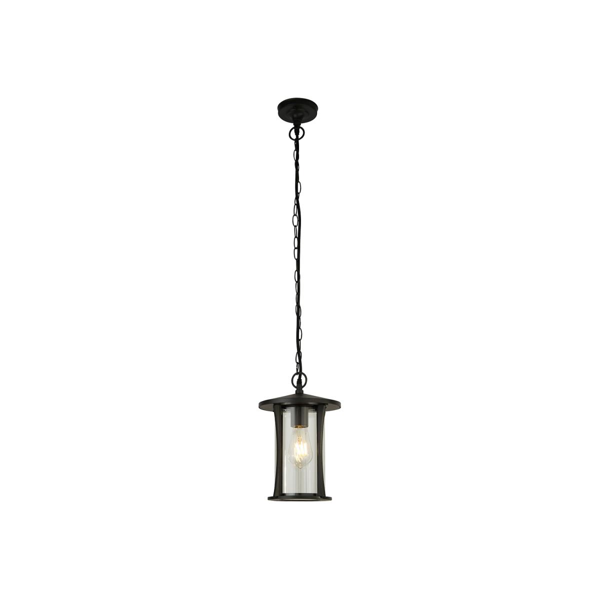 Outdoor Black Pendant Light with Clear Glass