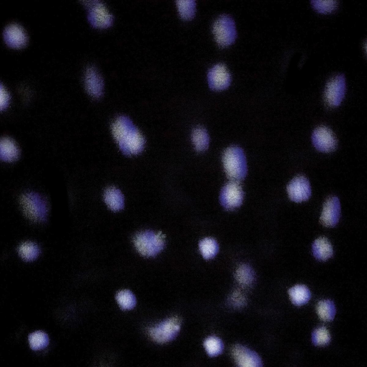 LED Light Snowfall Projector – image 3