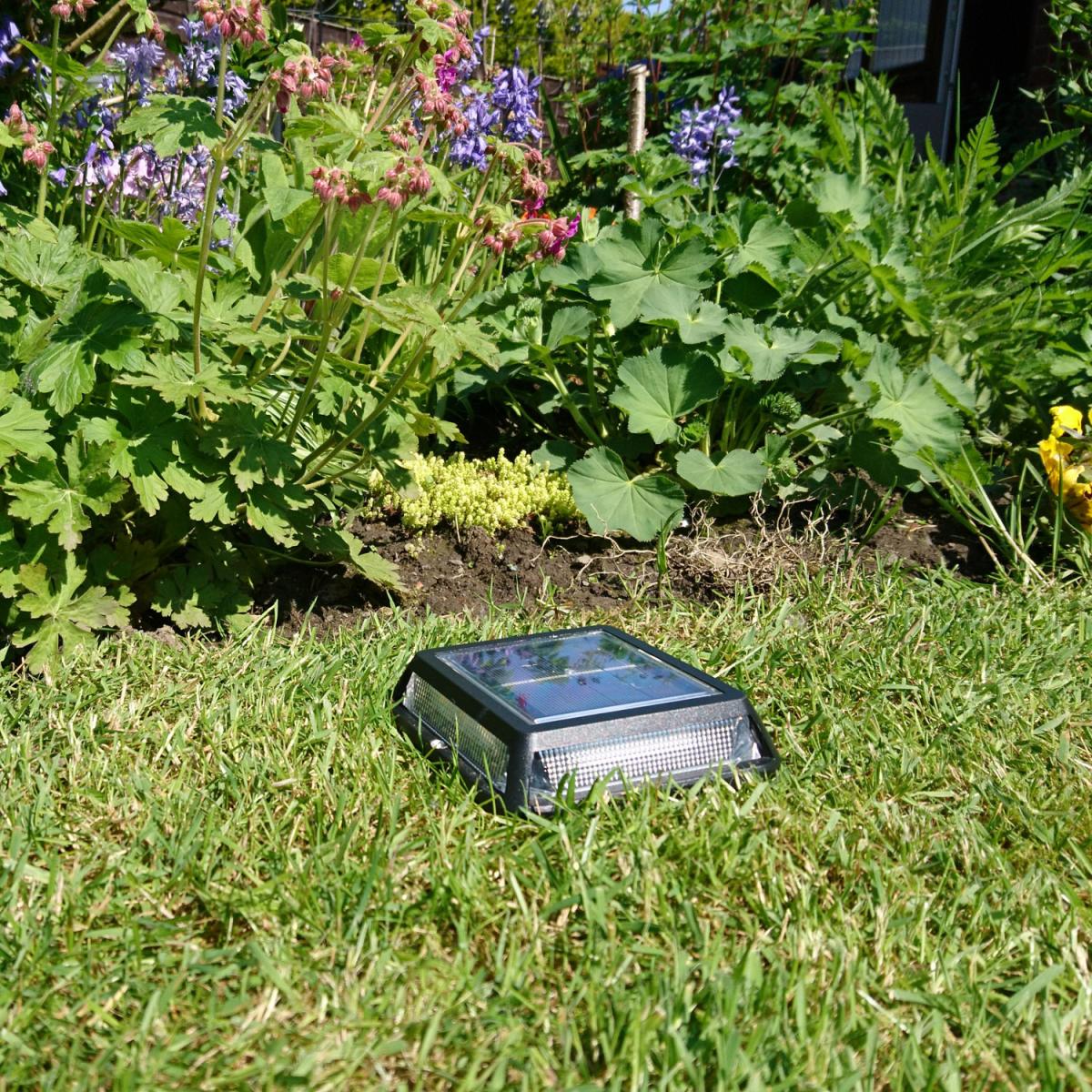 Delonix Outdoor Solar Power Ground Light - Black – image 3