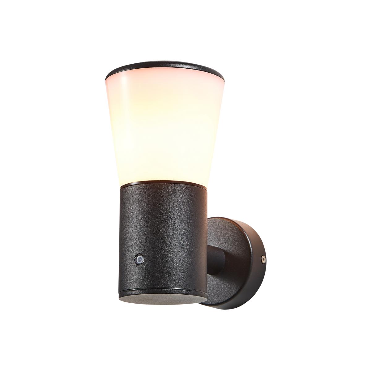 Altair Outdoor Wall Light with Photocell Sensor - Black