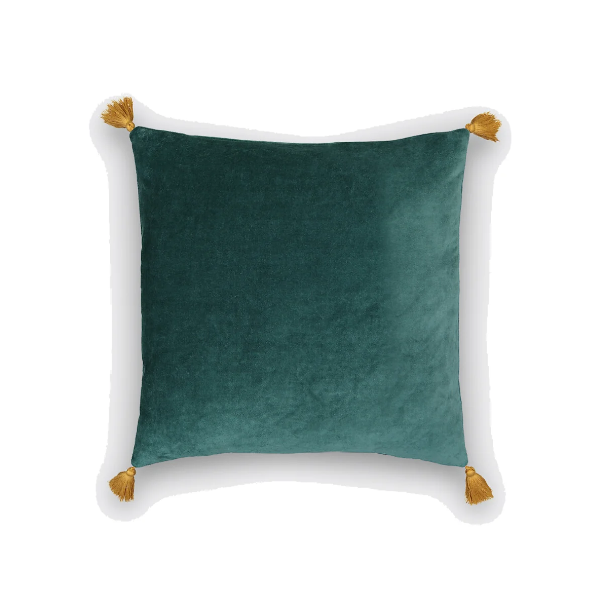 Velvet 40 X 40cm Cushion Cover