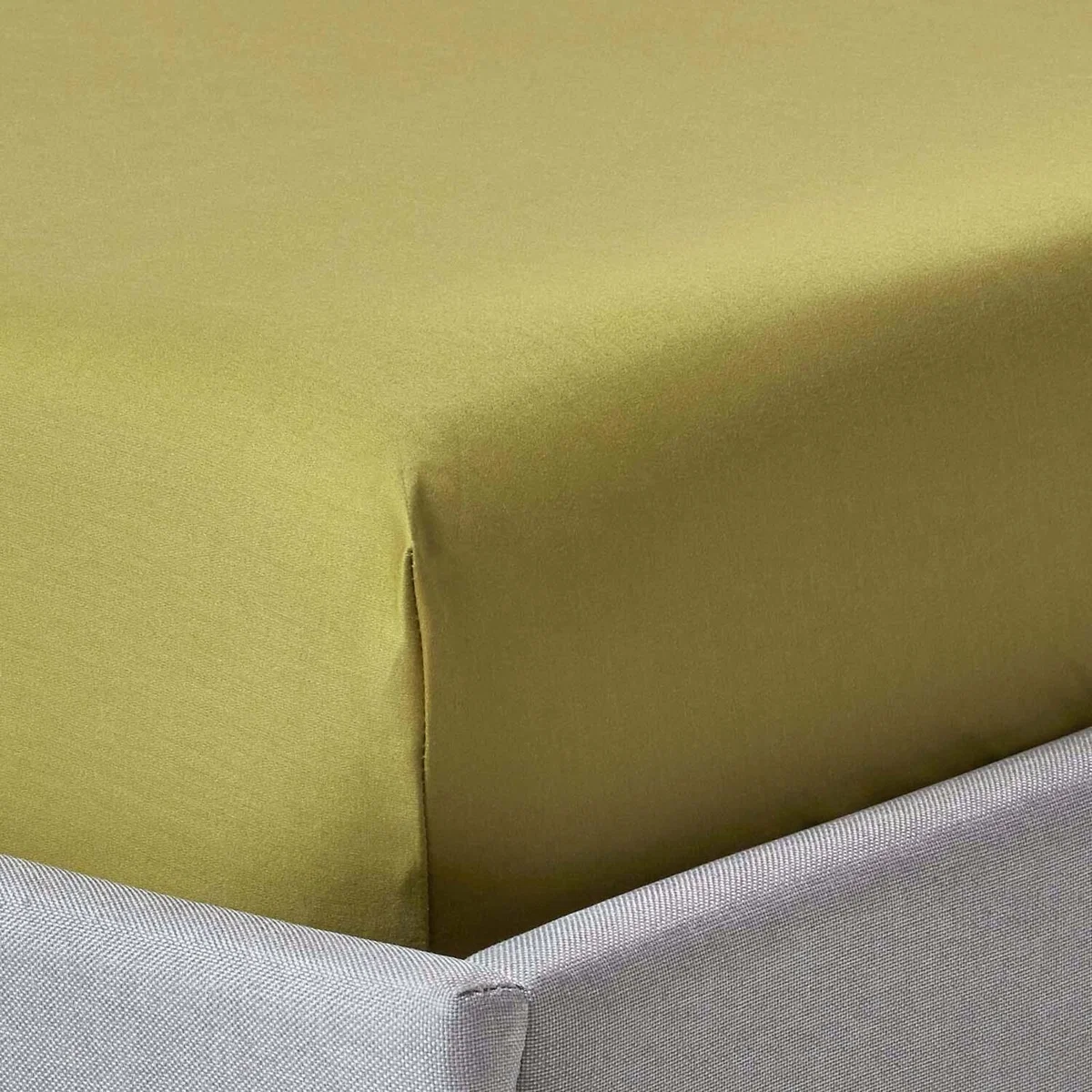 1000 Thread Count Egyptian Cotton Extra Deep Fitted Sheet - Olive Green / Double – image 1