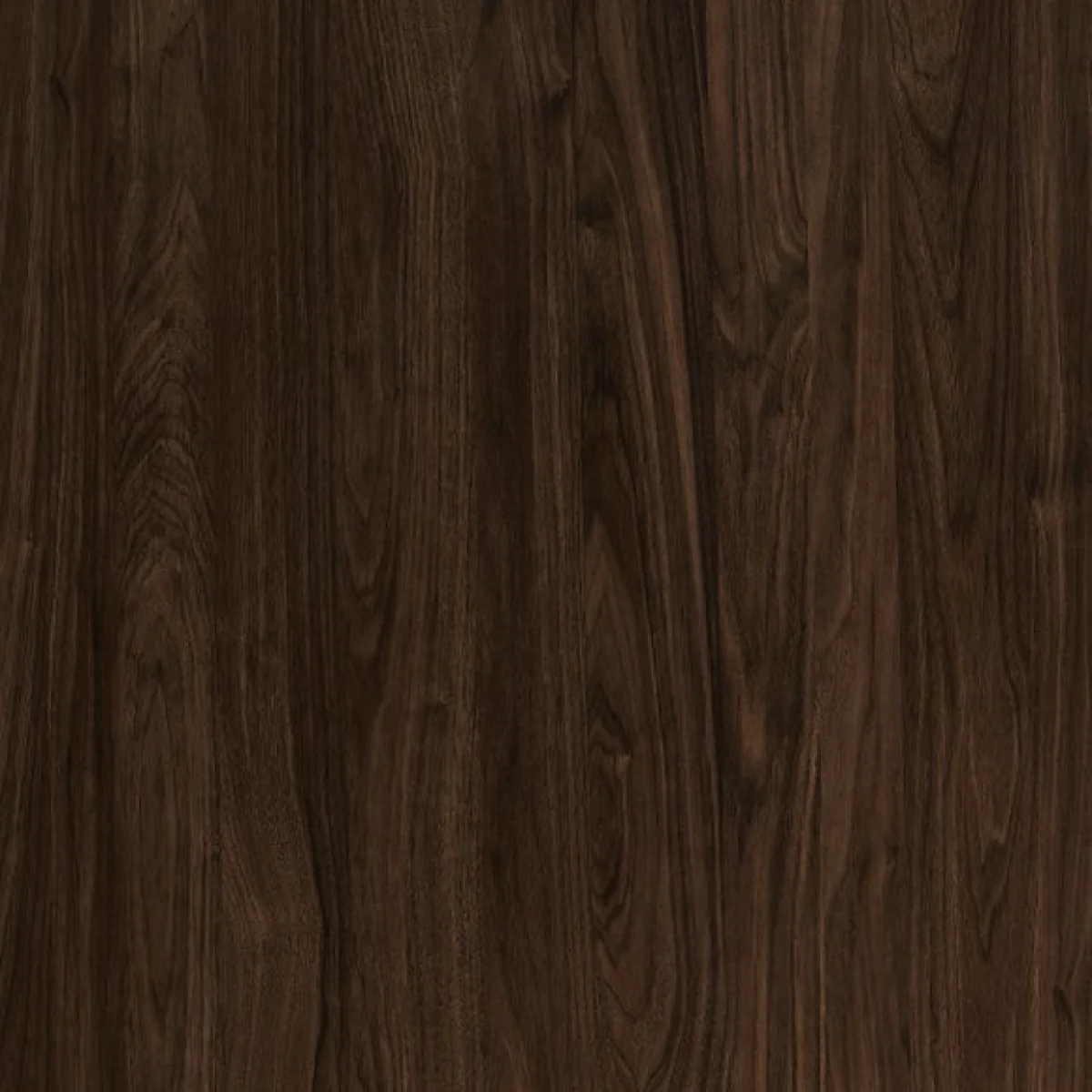 Daphne Storage Desk – image 6