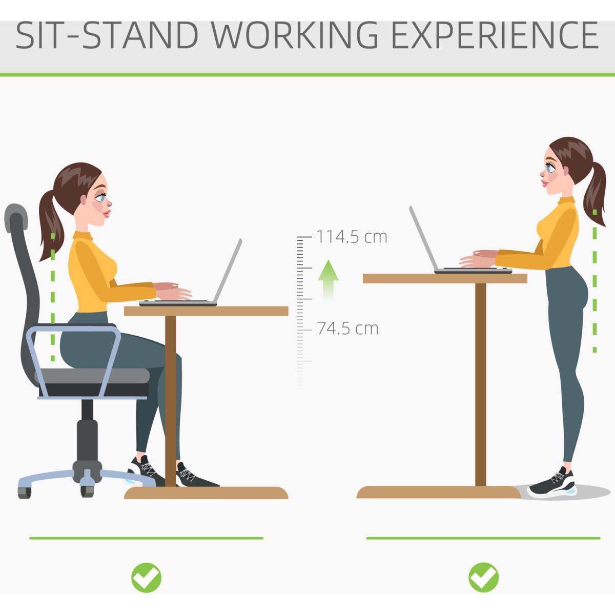 Electric Height Adjustable Stand Up Desk - Black – image 2