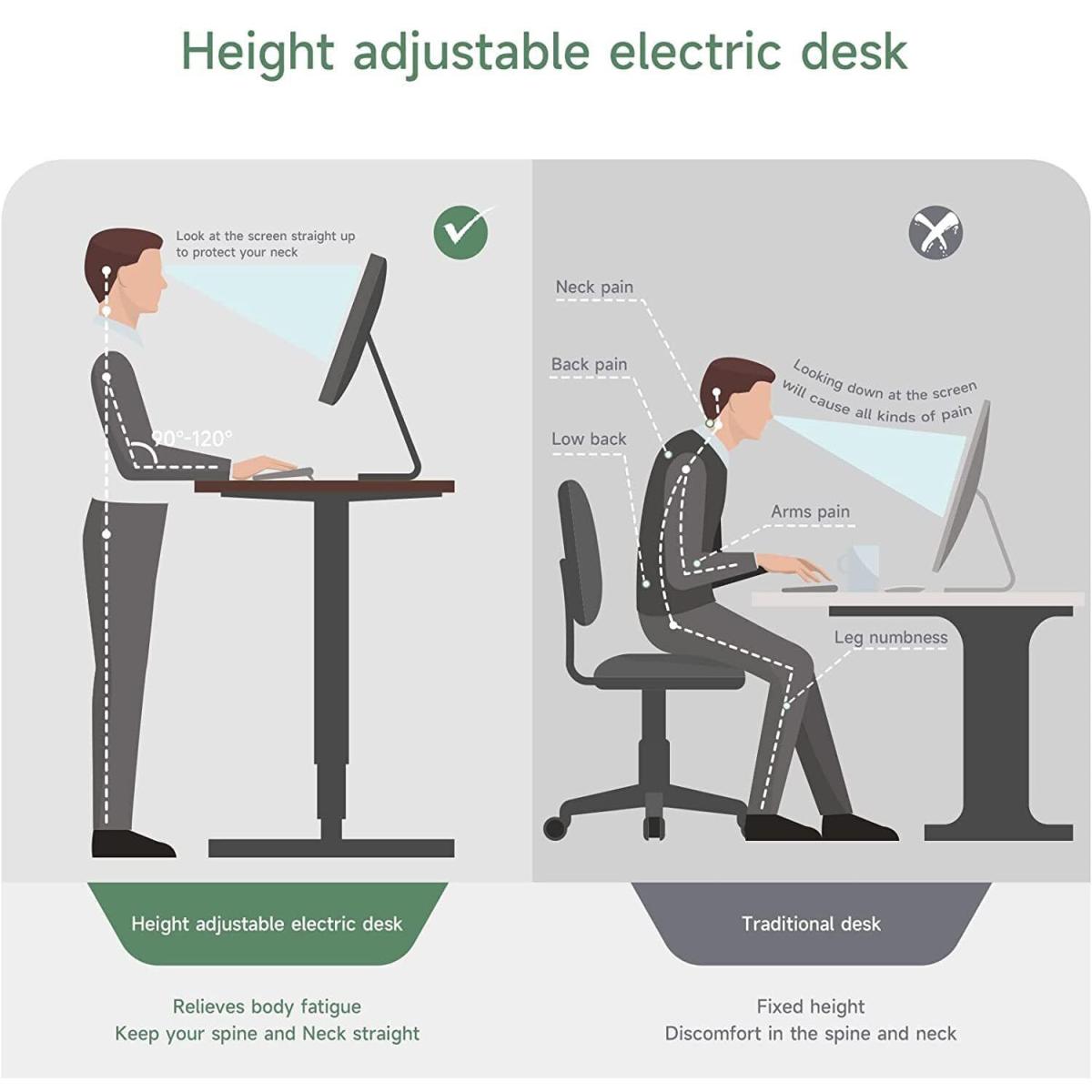 Electric Standing Height Adjustable Computer Desk - Walnut / 160cm – image 4