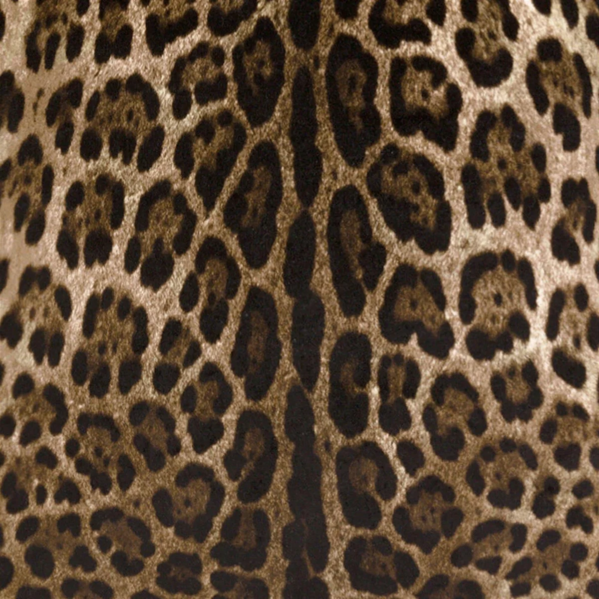 Leopard Velvet Cushion - 60x60cm – image 5