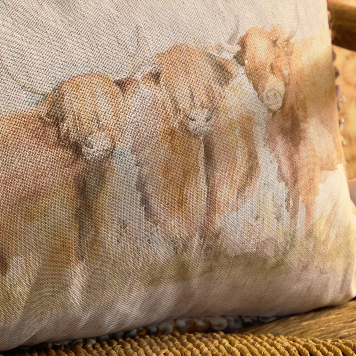 Chasca Highland Cattle Cushion – image 2