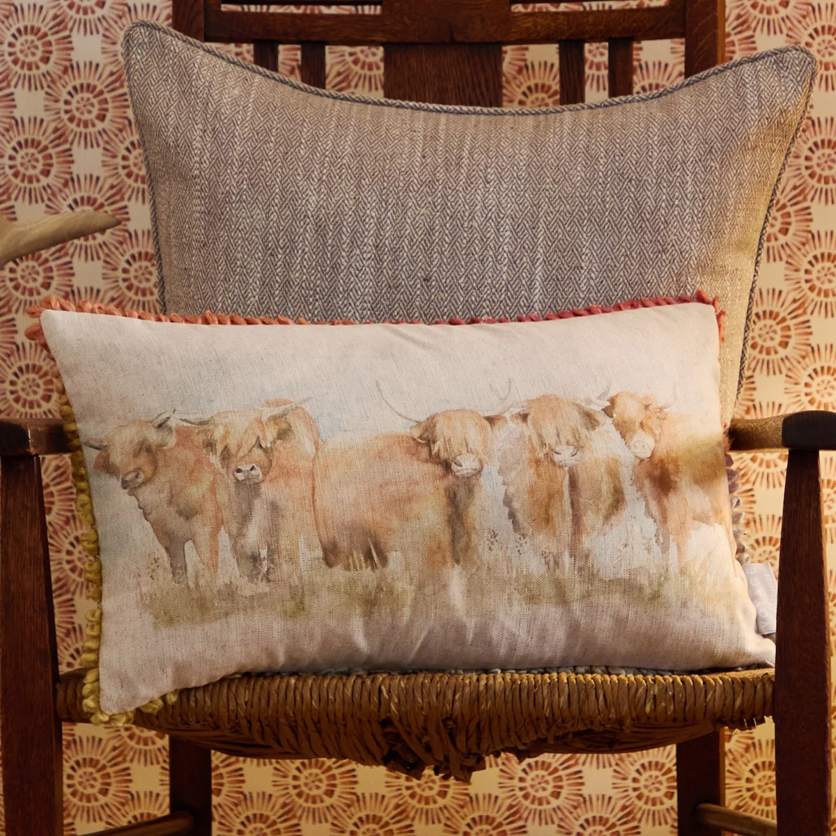 Chasca Highland Cattle Cushion – image 1