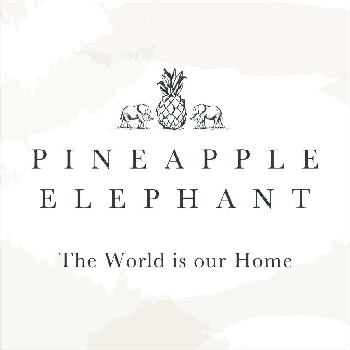 Pineapple Elephant Iniko Natural Cushion Natural – image 3