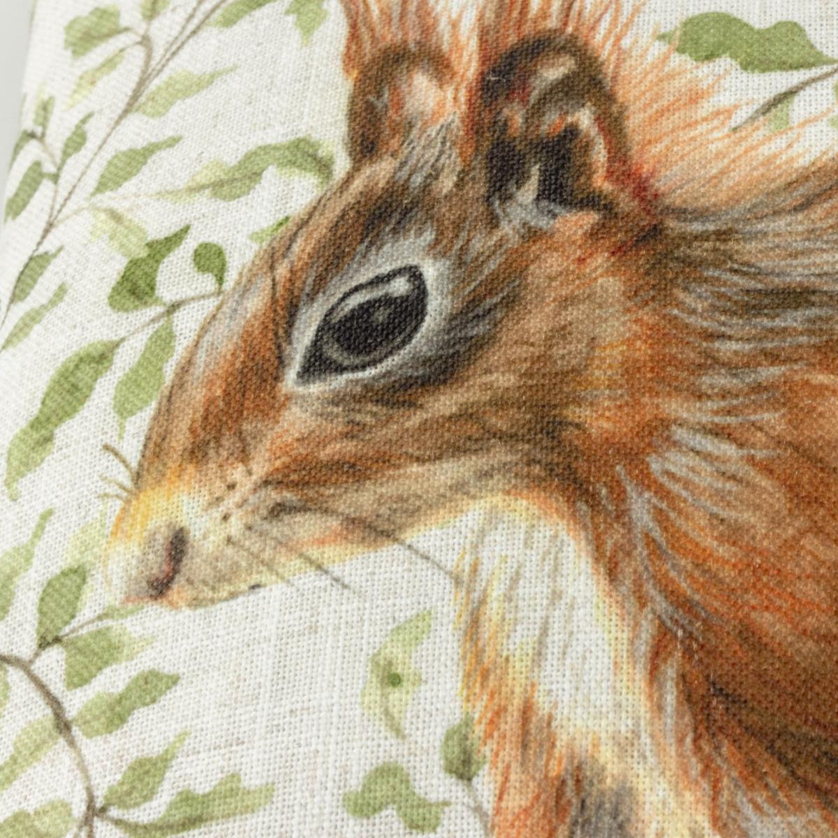 Evans Lichfield Shugborough Squirrel Square Cushion MultiColoured – image 5