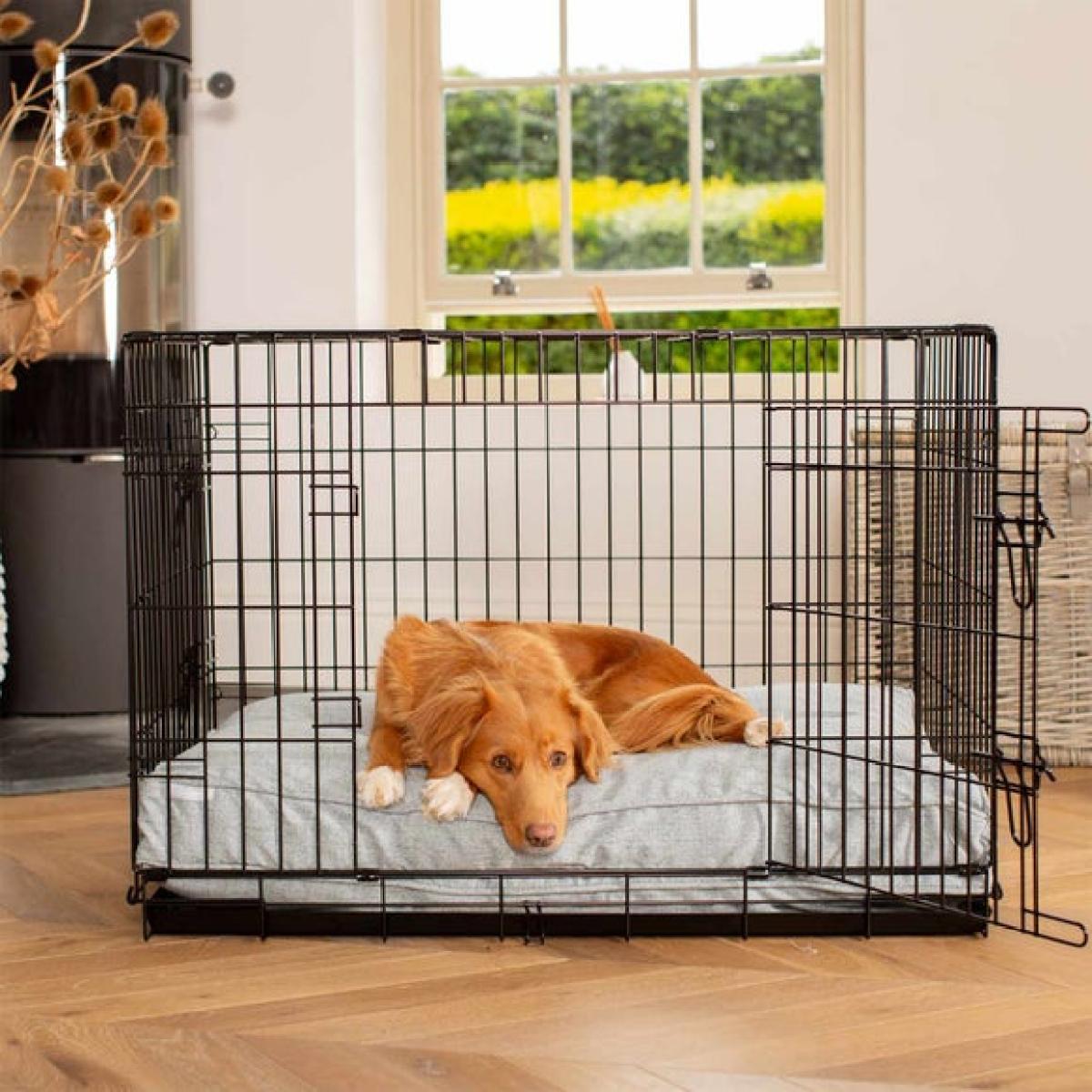Lords and Labradors Inchmurrin Dog Cushion – image 2