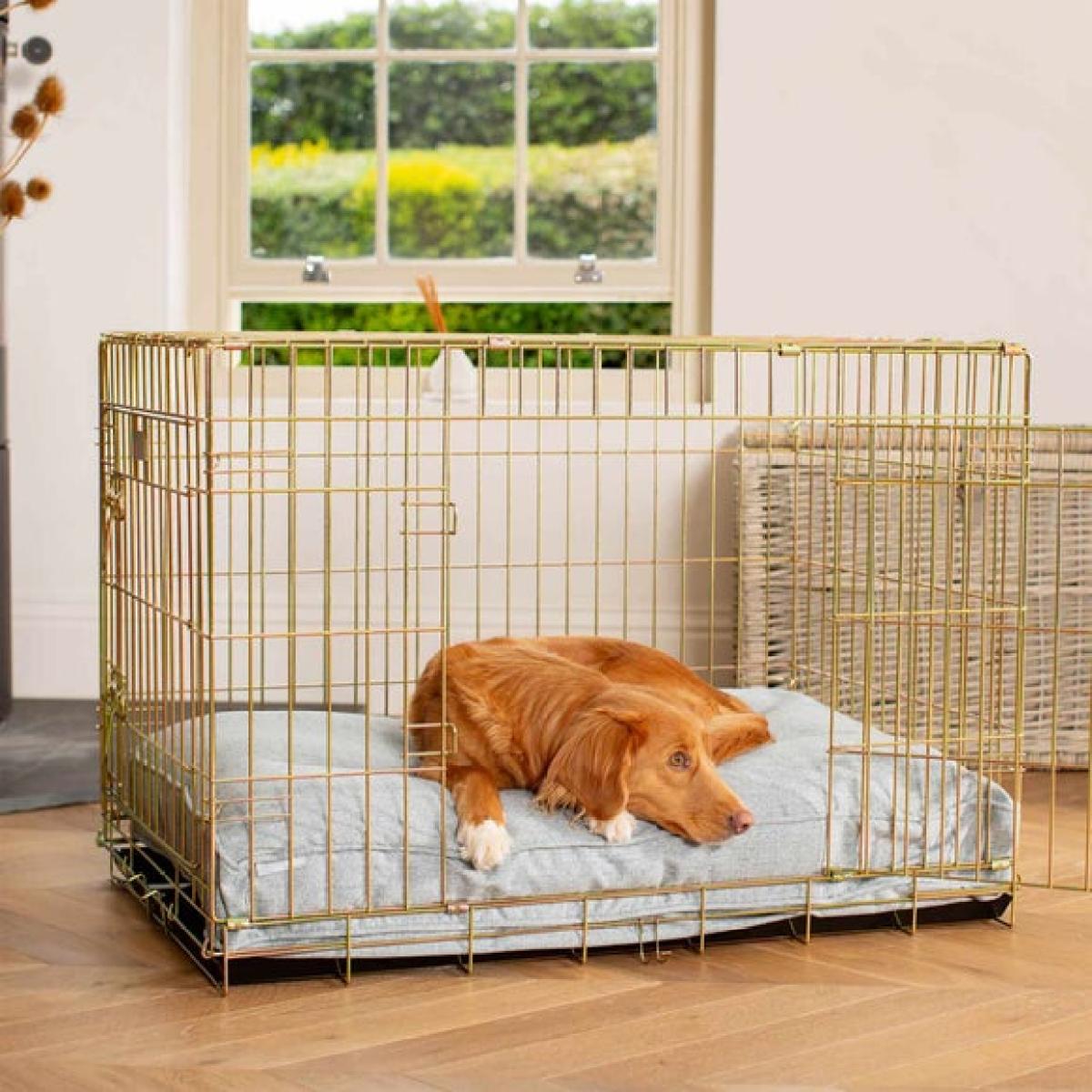 Lords and Labradors Inchmurrin Dog Cushion – image 3