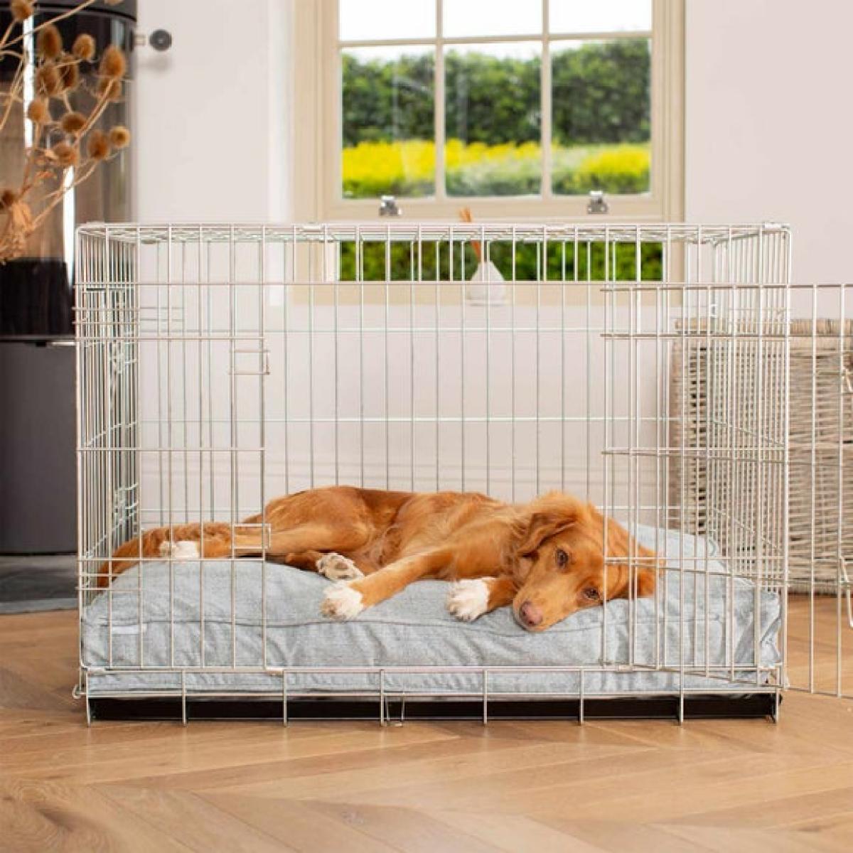 Lords and Labradors Inchmurrin Dog Cushion – image 1