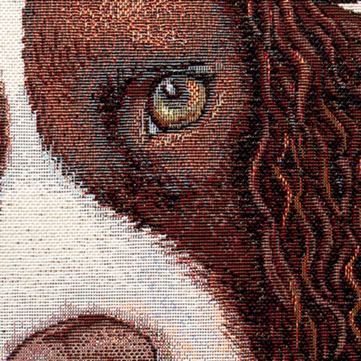 Springer Spaniel Tapestry Cushion Natural – image 4