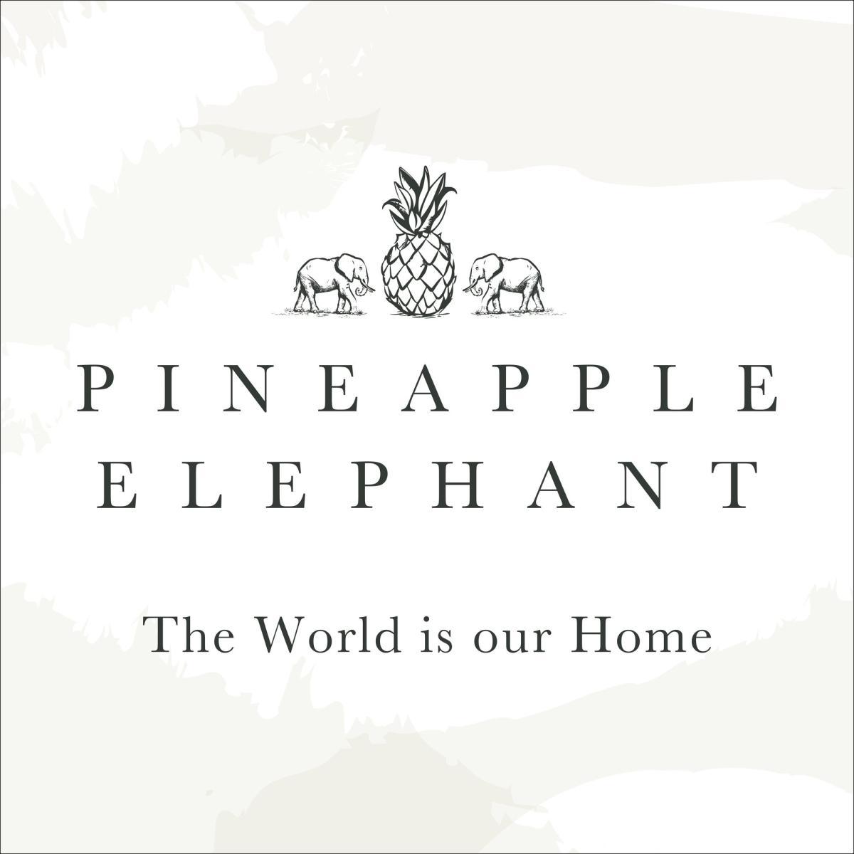 Pineapple Elephant Tembo Natural Cushion Natural (Brown) – image 3