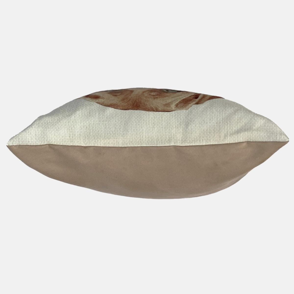 Christine Varley Fox Red Labrador Square Cushion Brown – image 3