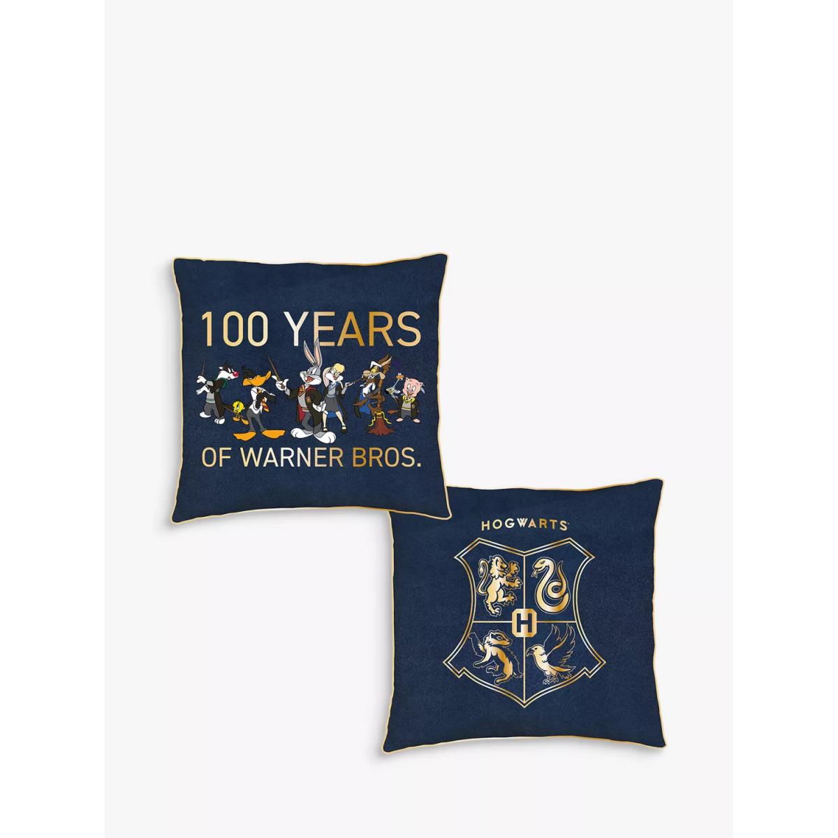 Harry Potter Warner Bros Mash Up Limited Edition 100th Anniversary Square Cushion – image 3